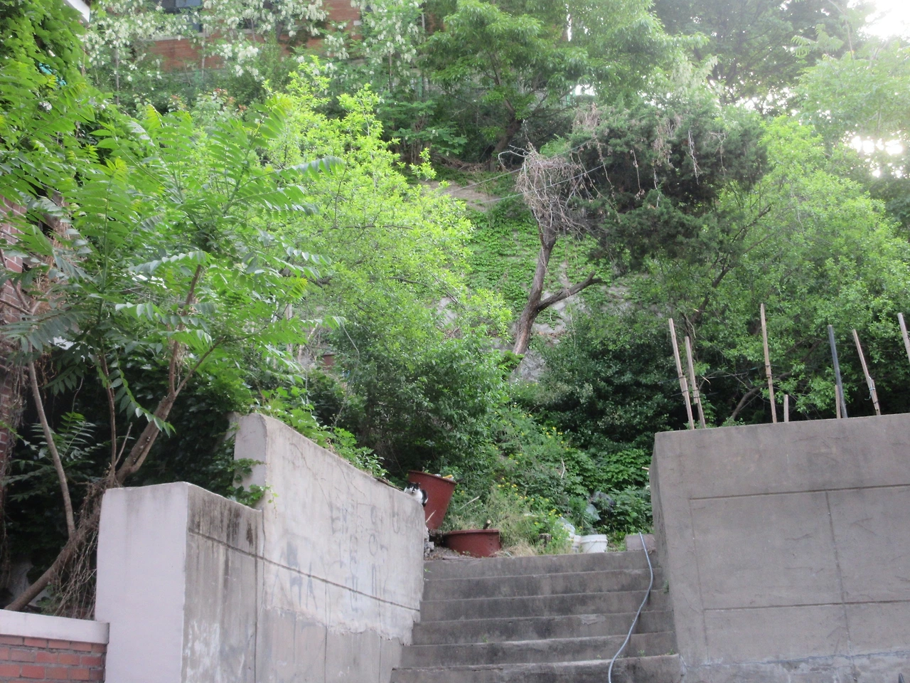 은애_고양이_안면인식장애_220521 (18).JPG