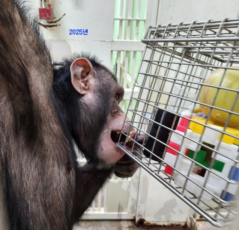 2025%EB%85%84%EA%B4%91%EB%B3%B5%EA%B4%80%EC%88%9C%EC%9D%B43.jpg?type=w1