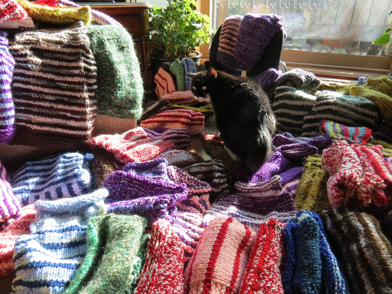 1리마님1_171212 094.JPG