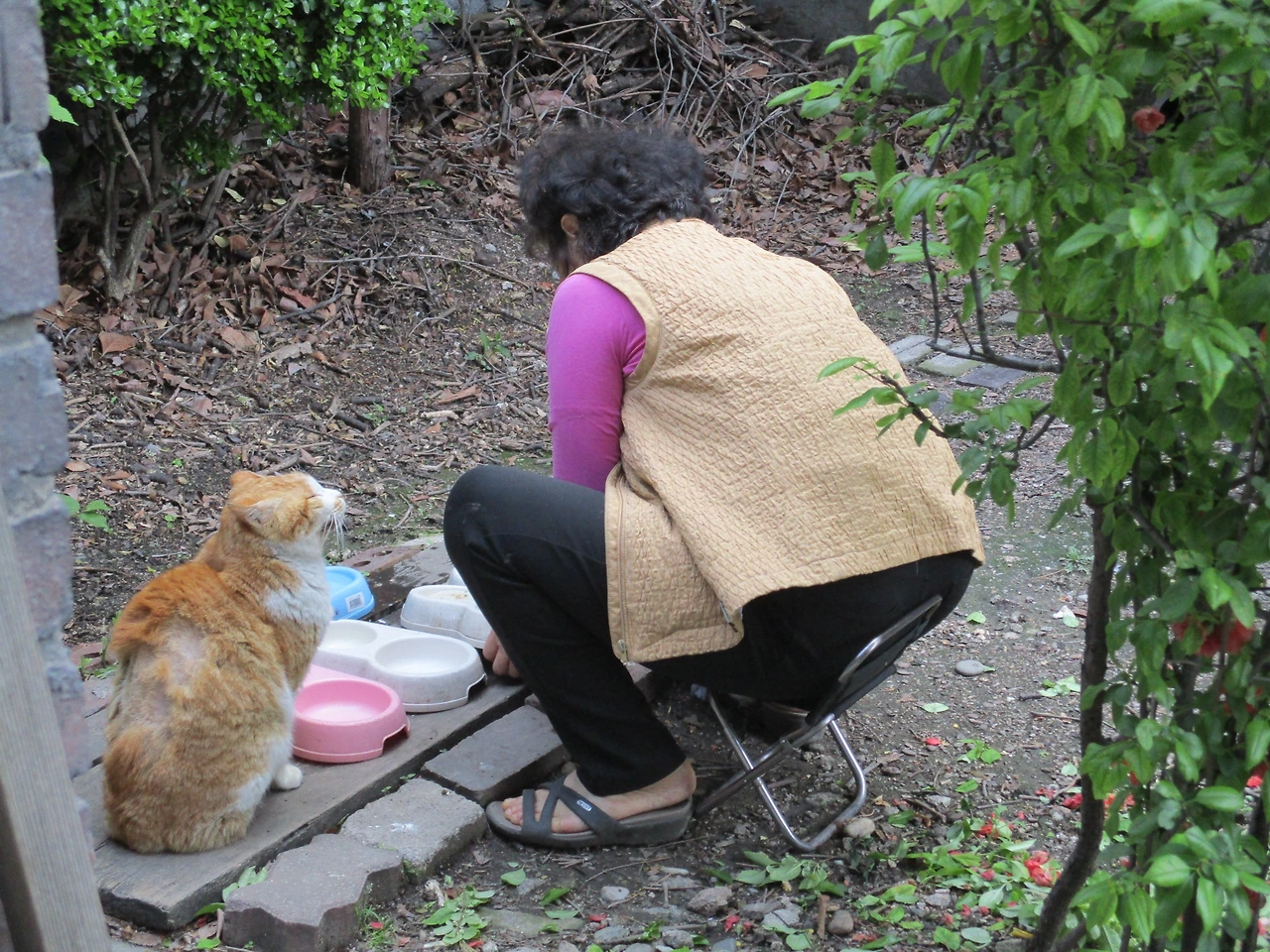 1노랑4_엄마랑노랑이1_180502 194.JPG