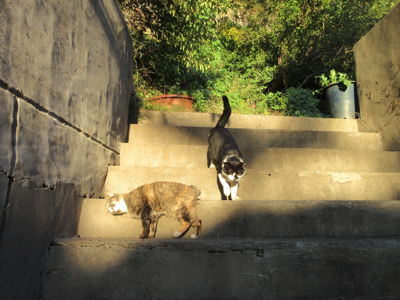 은애_작은귀_이른저녁밥_221019 (164).JPG