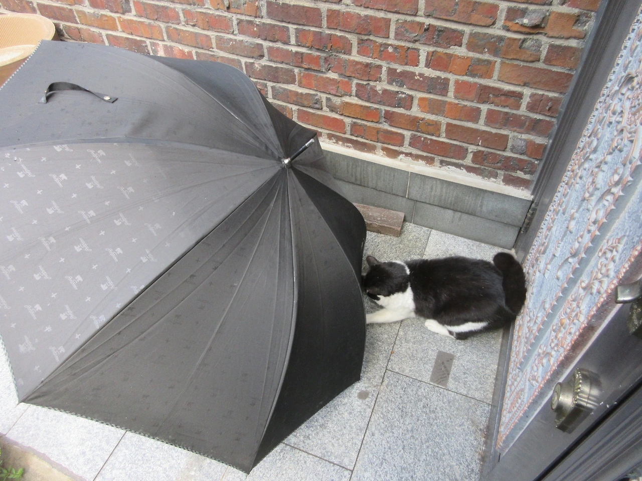 1_은애_목걸이_우산240512 (256).JPG