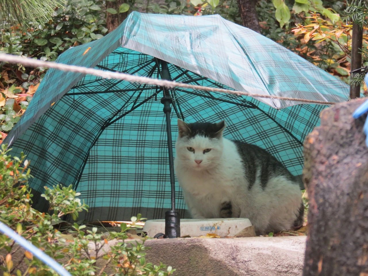 민호_141123 085.JPG