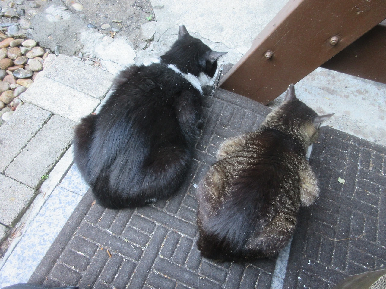 1_은애_목걸이_240612 (6).JPG