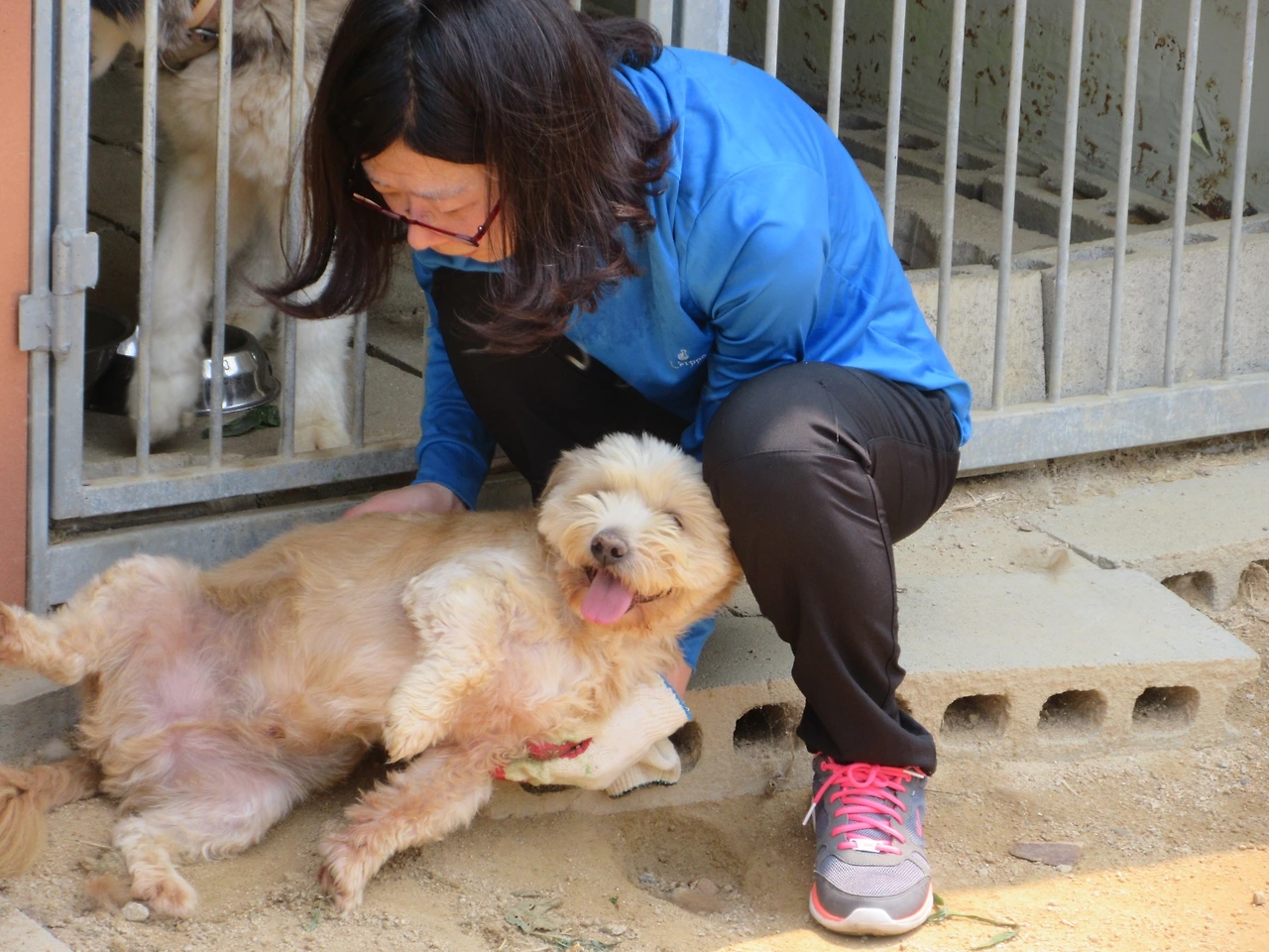 1_보호소봉사2_170618 050.JPG