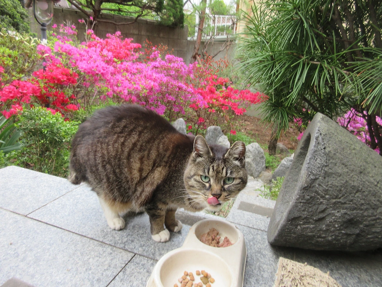 목걸이_밥꽃뷰230414 (22).JPG