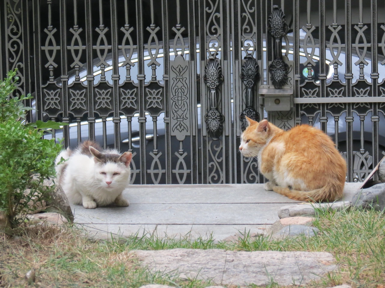 민호_노랑과_190730 (31).JPG