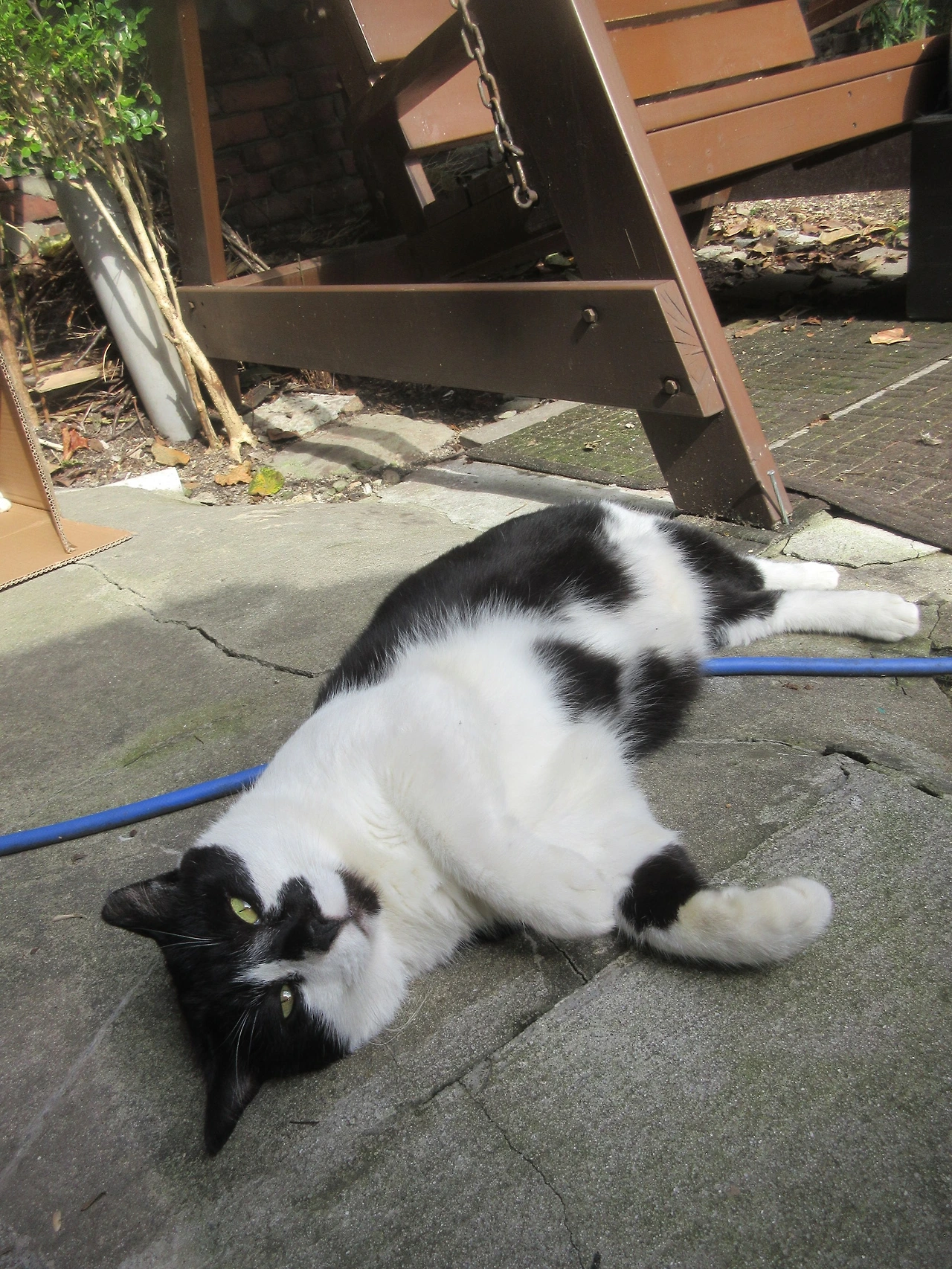 1_251027_은액목걸이박스4 (14).JPG