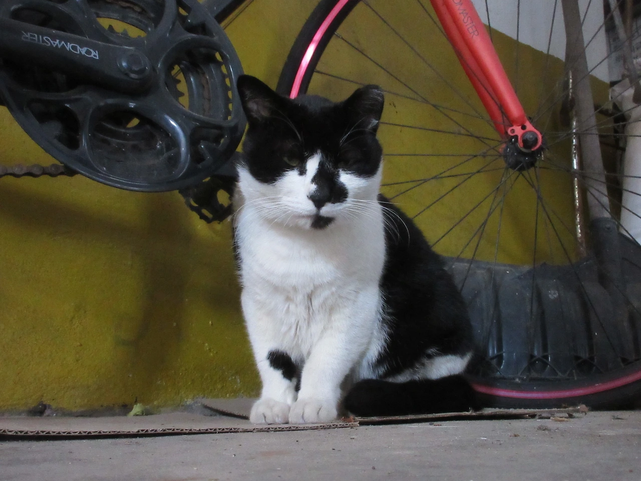 은애_어디갔다왔어2_221019 (153).JPG