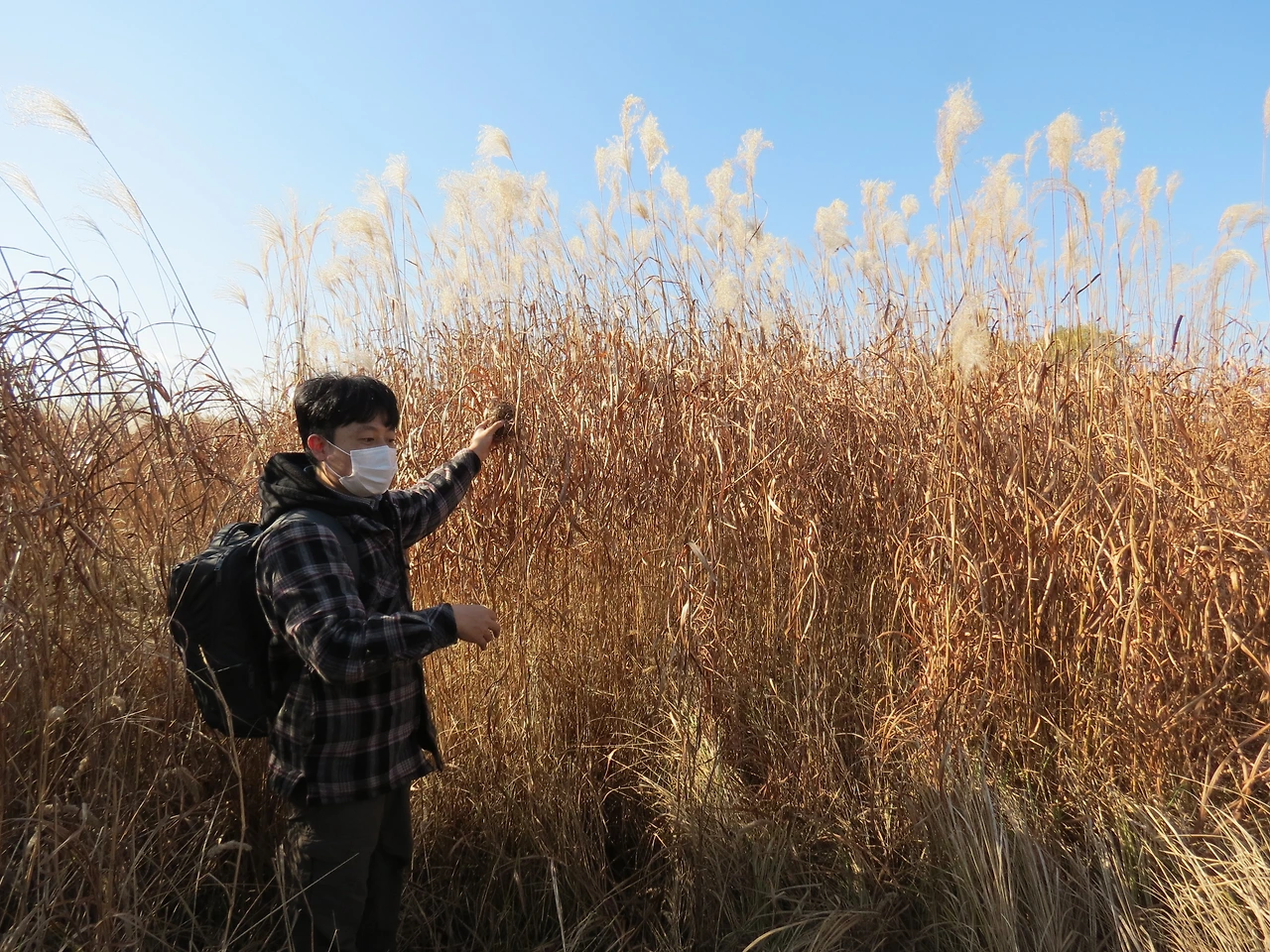 사진1강서습지걷기_211204 (61).JPG