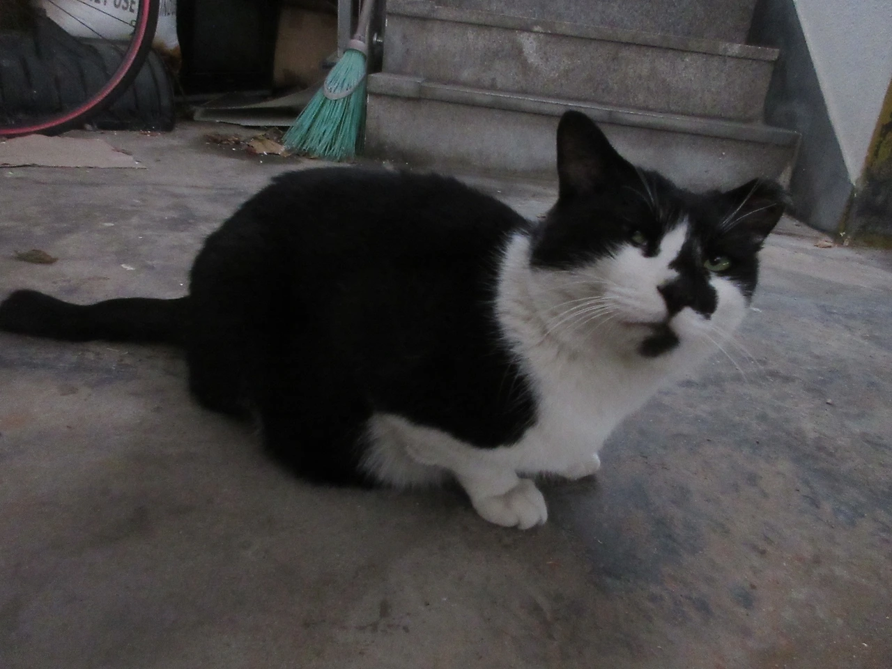 1_은애_발1_221128 (35).JPG