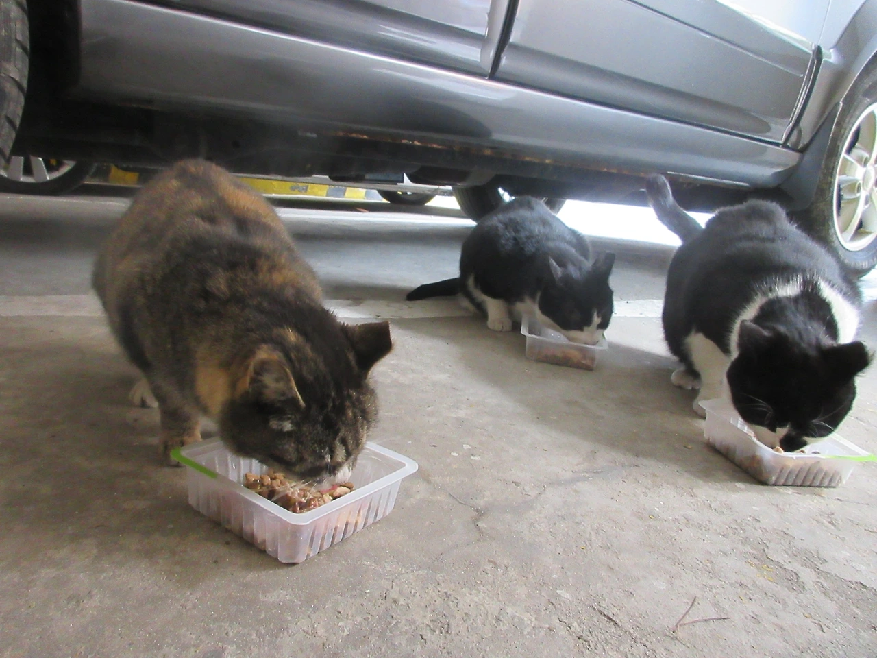 갑수_은애_작은귀_조찬모임3_210228 (15).JPG