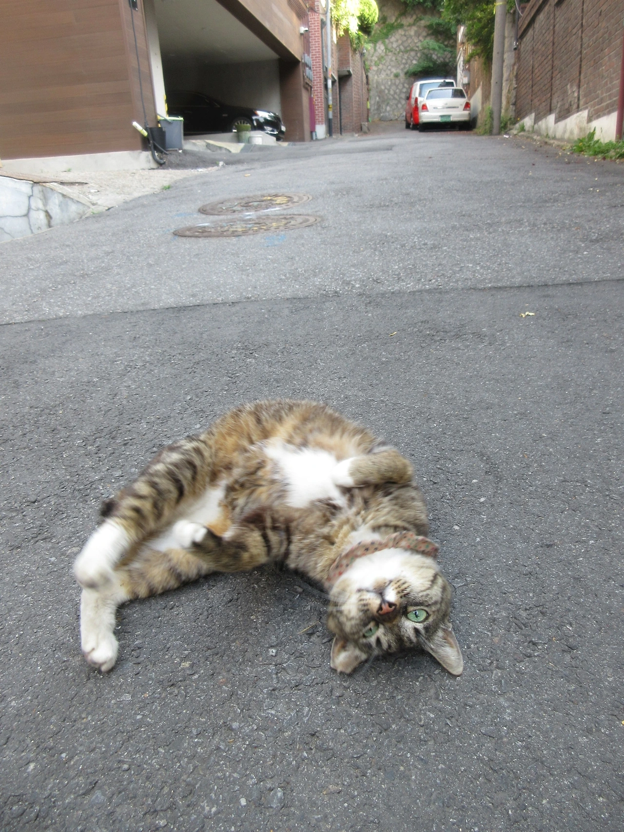 목걸이_골목한가운데_200619 (37).JPG