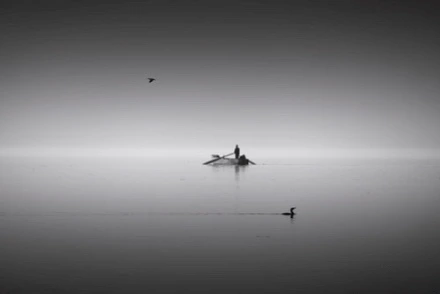 IMG_2978.jpg?type=w773