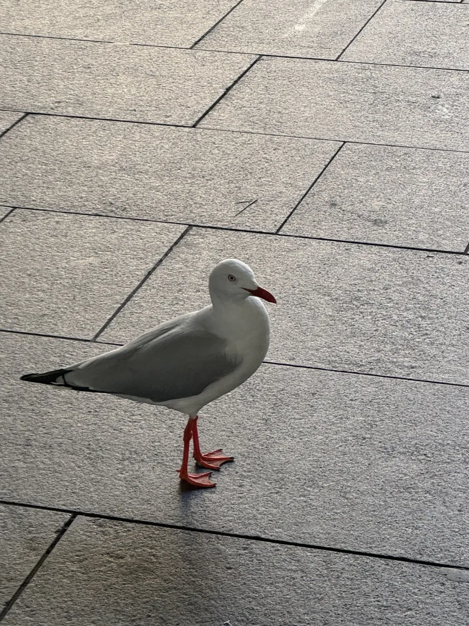 KakaoTalk_20240718_131145672_11.jpg?type=w1