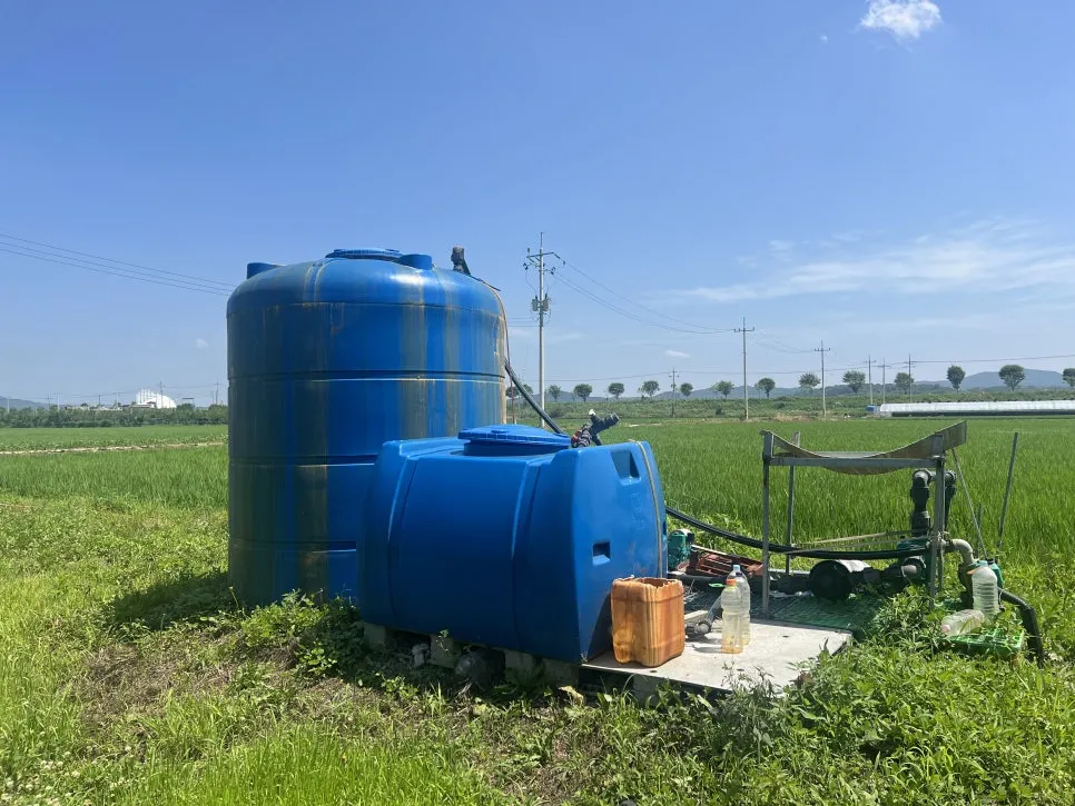 IMG_1198.jpg?type=w966