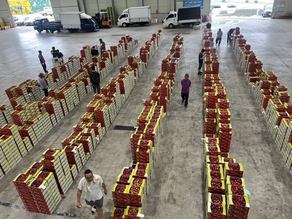 IMG_0849.jpg?type=w966