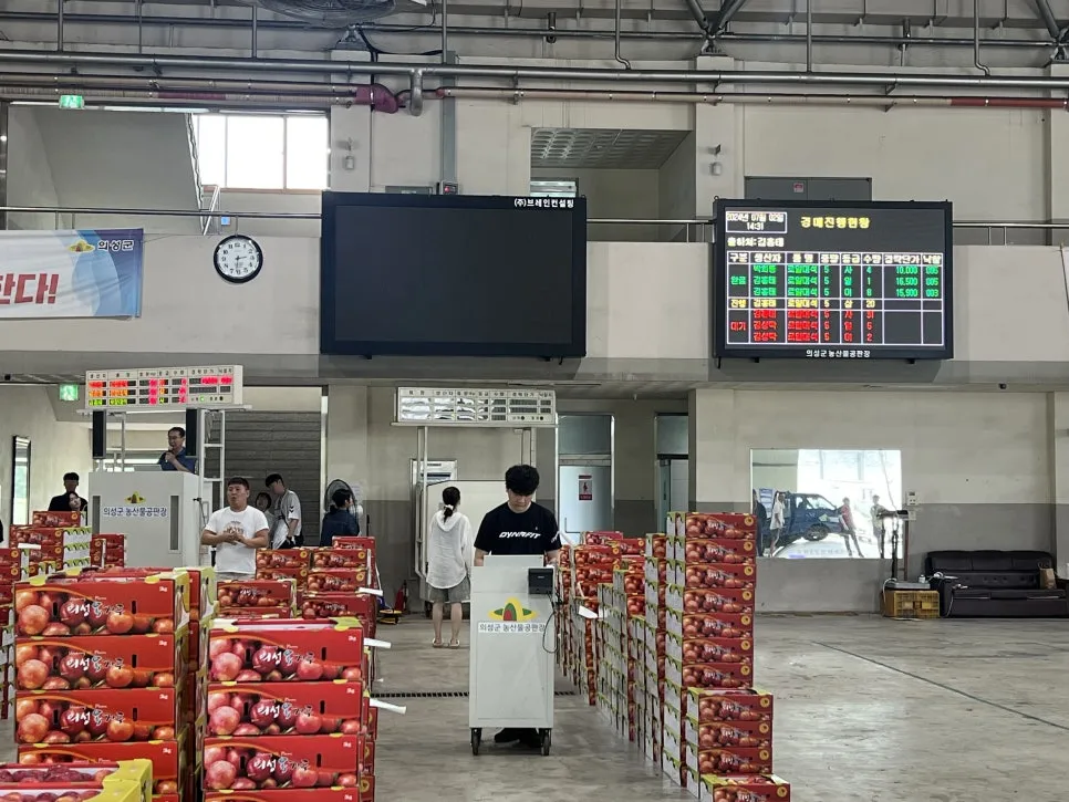 IMG_0890.jpg?type=w966