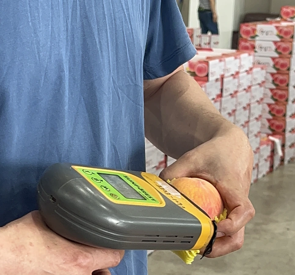 %EC%8A%A4%ED%81%AC%EB%A6%B0%EC%83%B7_2024-07-08_%EC%98%A4%EC%A0%84_12.49.47.png?type=w966