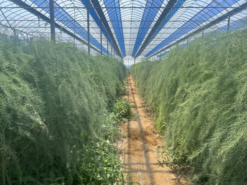 IMG_1215.jpg?type=w966