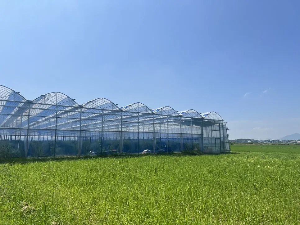 IMG_1192.jpg?type=w966