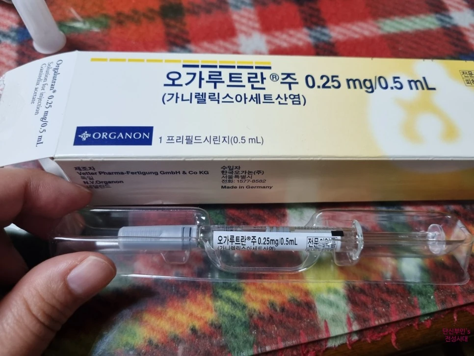 SE-2f39275f-5a36-45e2-ab20-6310ecc3bc6d.jpg?type=w966