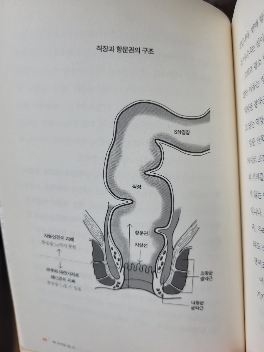 900%EF%BC%BF20250302%EF%BC%BF164152.jpg?type=w1