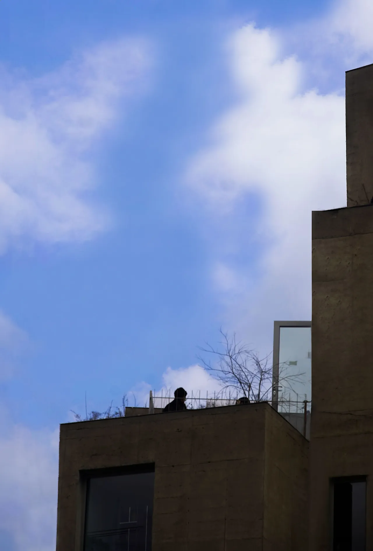 image?src=https%3A%2F%2Fprod-files-secure.s3.us-west-2.amazonaws.com%2Fd26f2fc6-f2b7-4615-b61a-e9deaacc99c3%2F536c1eae-4dd0-4276-af08-17a2672e2b35%2FDSC01019-2.jpg&blockId=36079f9f-6513-466b-a86a-7494424bdd97