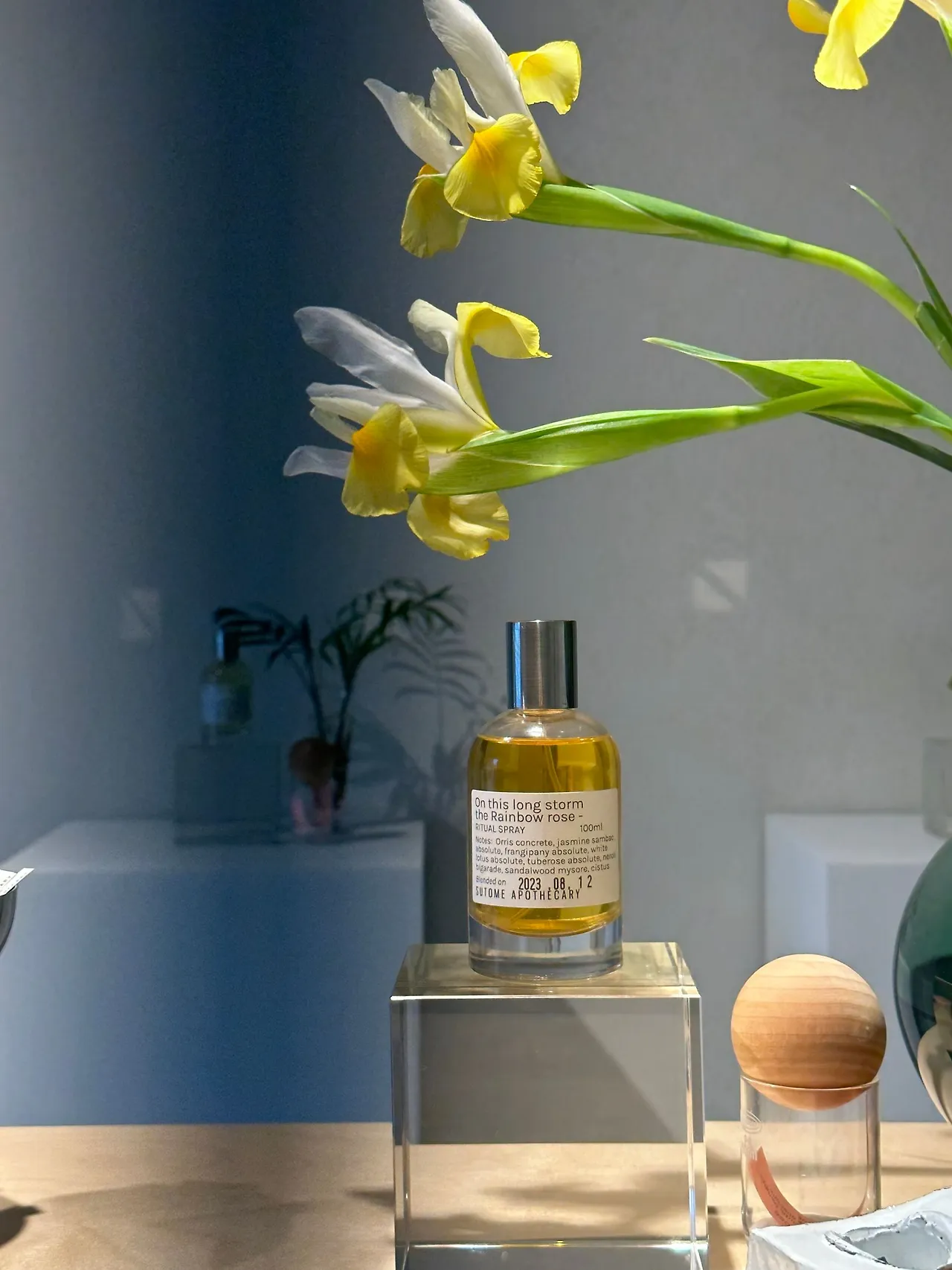 image?src=https%3A%2F%2Fprod-files-secure.s3.us-west-2.amazonaws.com%2Fd26f2fc6-f2b7-4615-b61a-e9deaacc99c3%2F83a1f49d-c735-42cc-9c8f-b5be53964894%2FIMG_2374.jpg&blockId=82e6561c-2625-478e-bb30-45072104cc7a