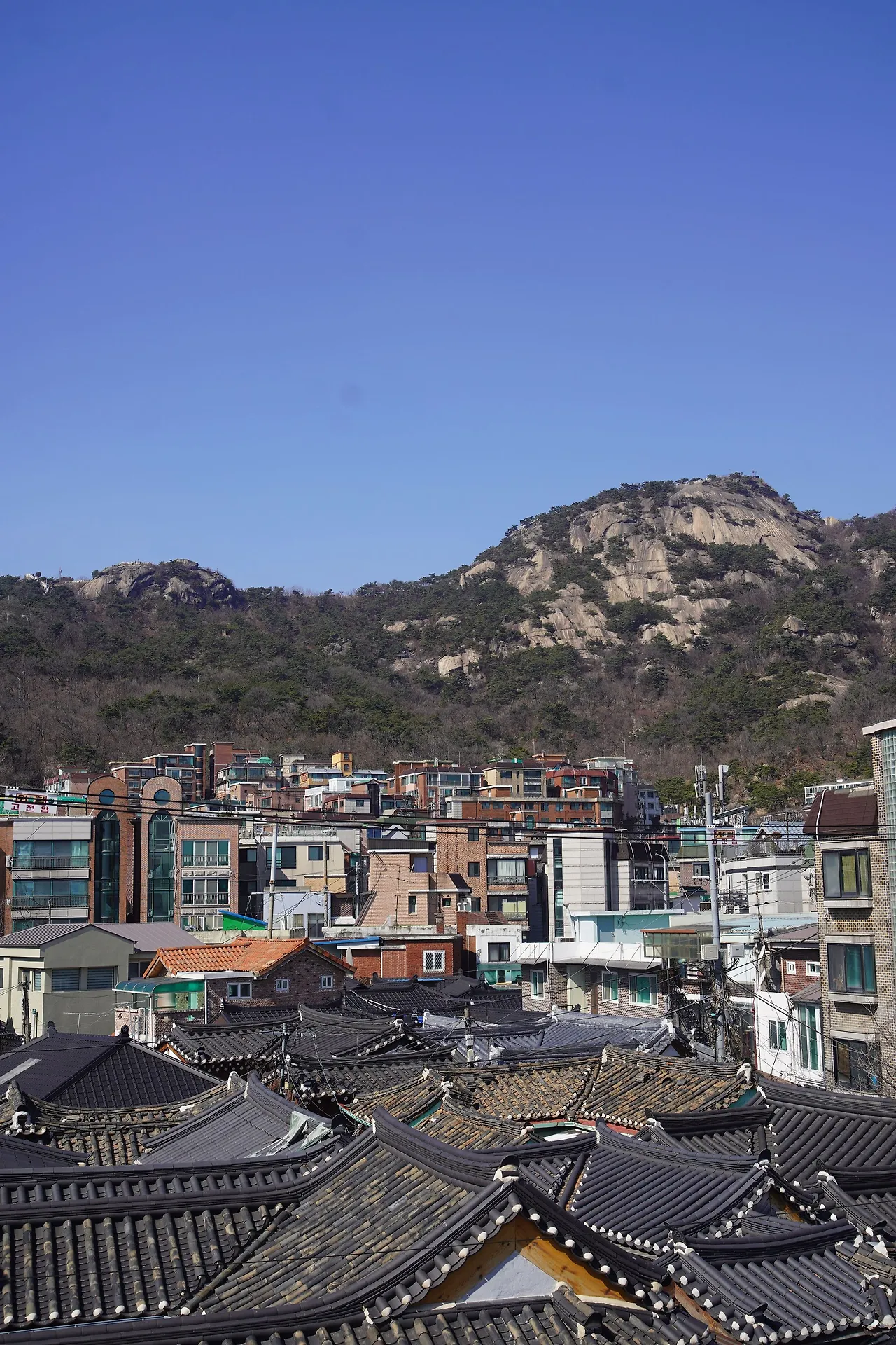 image?src=https%3A%2F%2Fprod-files-secure.s3.us-west-2.amazonaws.com%2Fd26f2fc6-f2b7-4615-b61a-e9deaacc99c3%2F18d48bb7-b5e1-4981-aa2d-43d2bd2175ee%2FDSC02317.jpg&blockId=d2e6ca11-d093-4f5c-a53b-15e117cfb35e