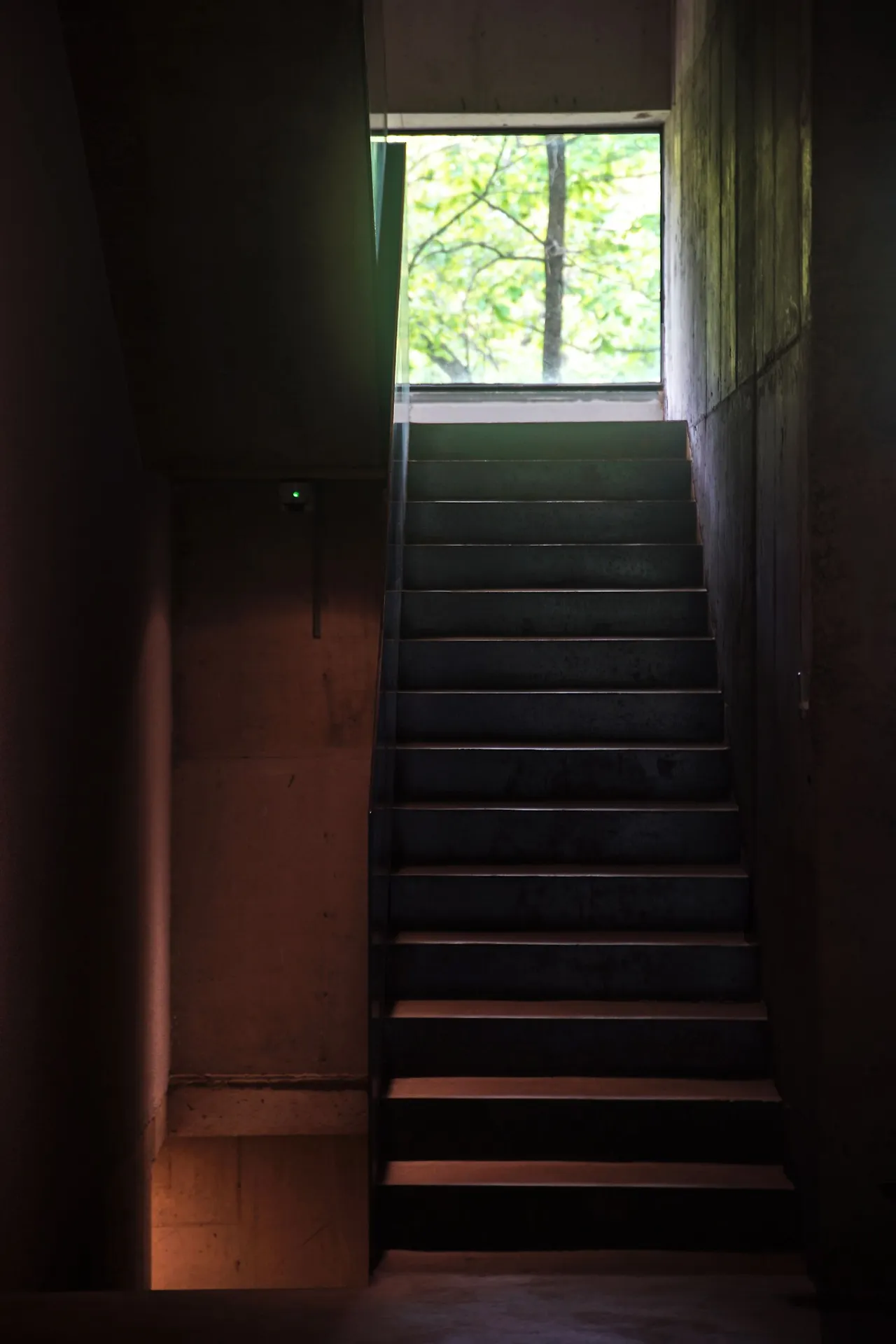 image?src=https%3A%2F%2Fprod-files-secure.s3.us-west-2.amazonaws.com%2Fd26f2fc6-f2b7-4615-b61a-e9deaacc99c3%2Fa4bcdea0-f8ba-4b7e-b852-e0667ada8bbb%2FDSC05960.jpg&blockId=6c739bfc-68b1-4fea-ad2a-dd586606842e