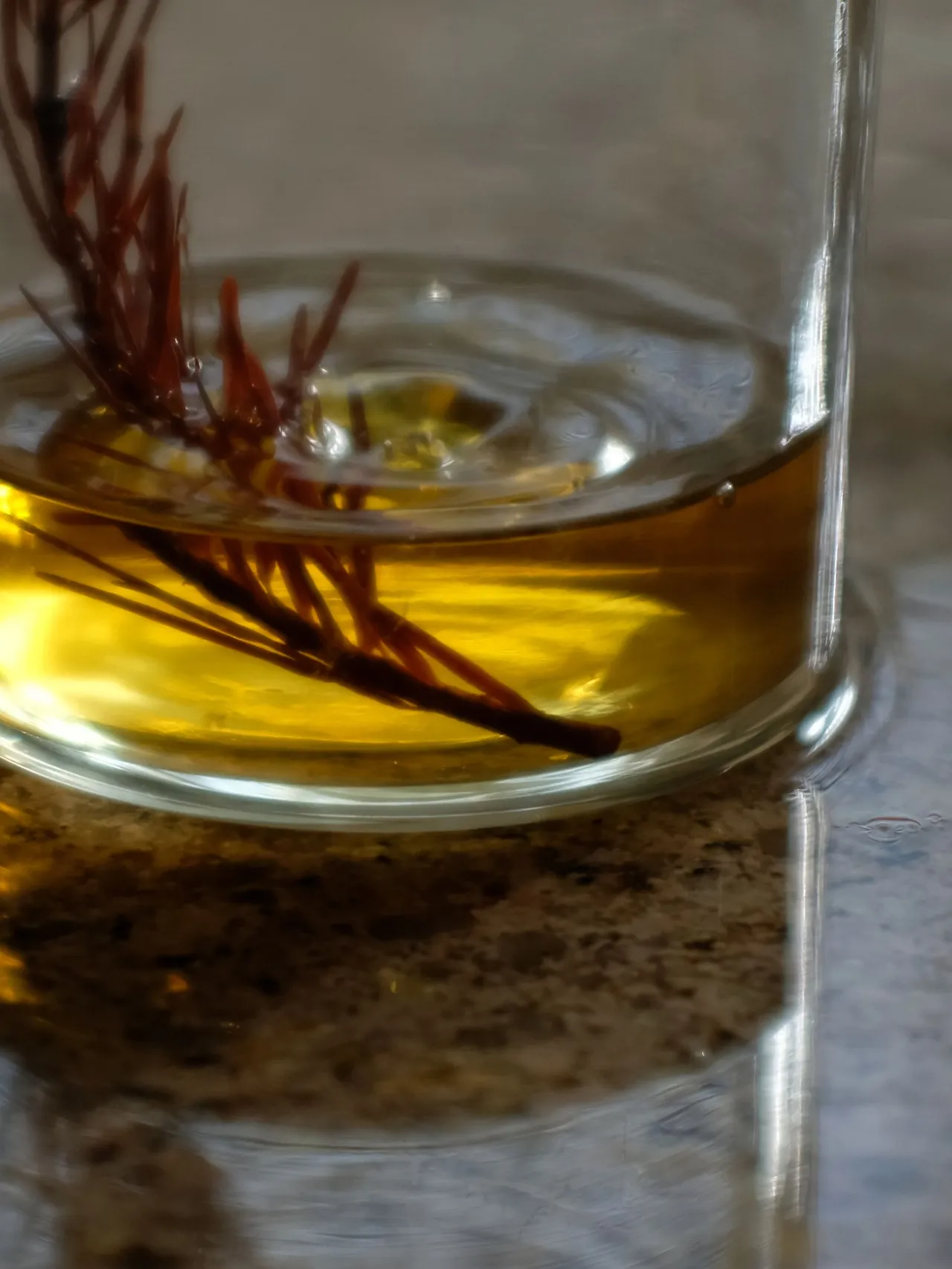 image?src=https%3A%2F%2Fprod-files-secure.s3.us-west-2.amazonaws.com%2Fd26f2fc6-f2b7-4615-b61a-e9deaacc99c3%2Fef9aa299-8b32-4c3b-958c-2b12edecf67c%2FDSCF1590_1.jpg&blockId=afa6b9a1-d706-4d5c-b513-a8fe62a94596