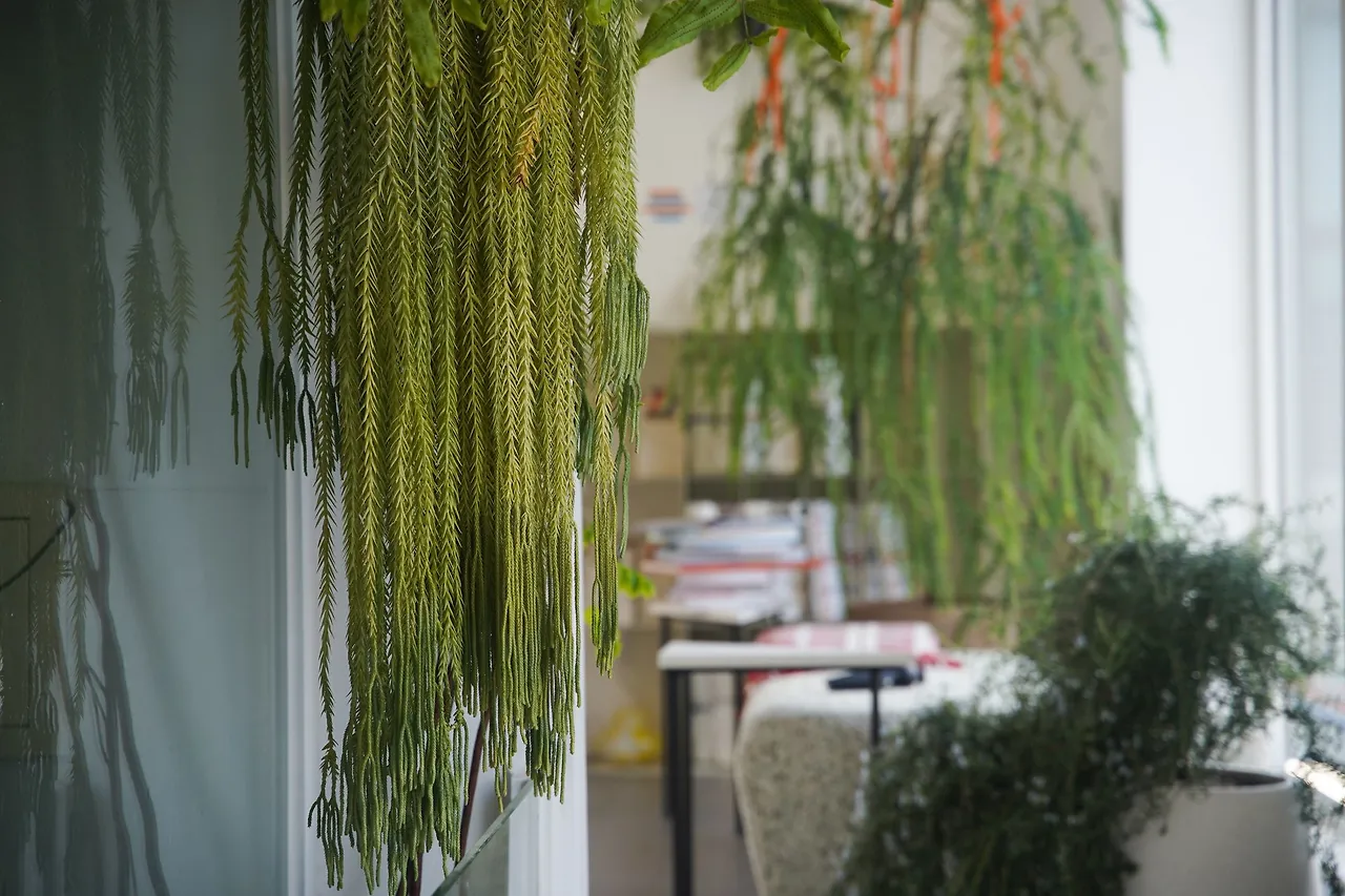 image?src=https%3A%2F%2Fprod-files-secure.s3.us-west-2.amazonaws.com%2Fd26f2fc6-f2b7-4615-b61a-e9deaacc99c3%2F7f3bcb87-aa76-4b66-b2c4-fd3d59353d45%2FDSC00587.jpg&blockId=e7a625aa-c290-48dd-97ab-ec3709d1bef7