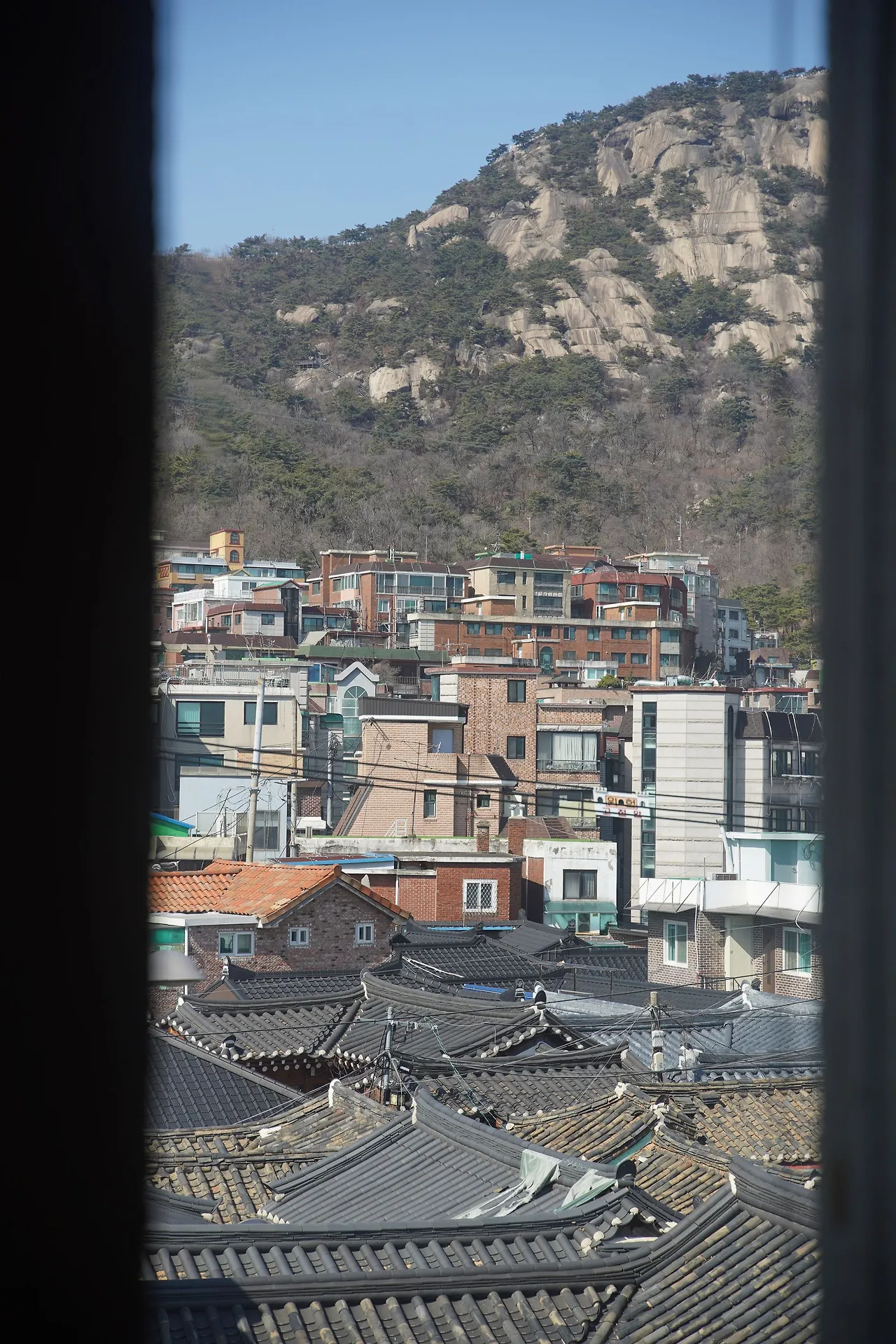 image?src=https%3A%2F%2Fprod-files-secure.s3.us-west-2.amazonaws.com%2Fd26f2fc6-f2b7-4615-b61a-e9deaacc99c3%2Fc7073754-2b5e-4432-85b6-89402ef98642%2FDSC02301.jpg&blockId=9e66c056-7a00-48b9-a380-916c74c5deb4