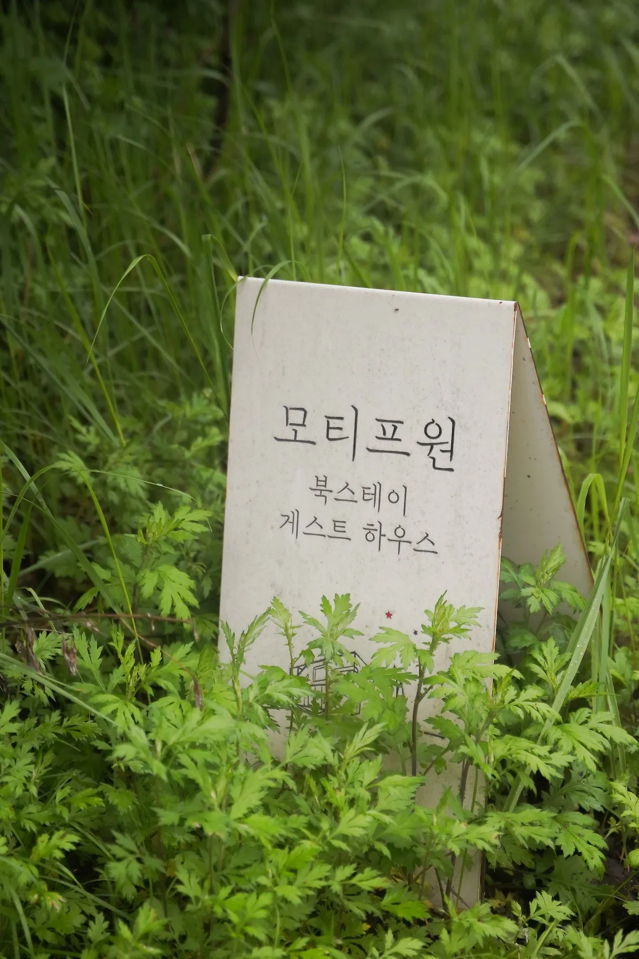 image?src=https%3A%2F%2Fprod-files-secure.s3.us-west-2.amazonaws.com%2Fd26f2fc6-f2b7-4615-b61a-e9deaacc99c3%2F1df91998-9d05-4d95-97a7-225f961727ac%2FDSC09987.jpg&blockId=fc8a9b2b-ad35-4e50-bdec-cb627f73bdc0