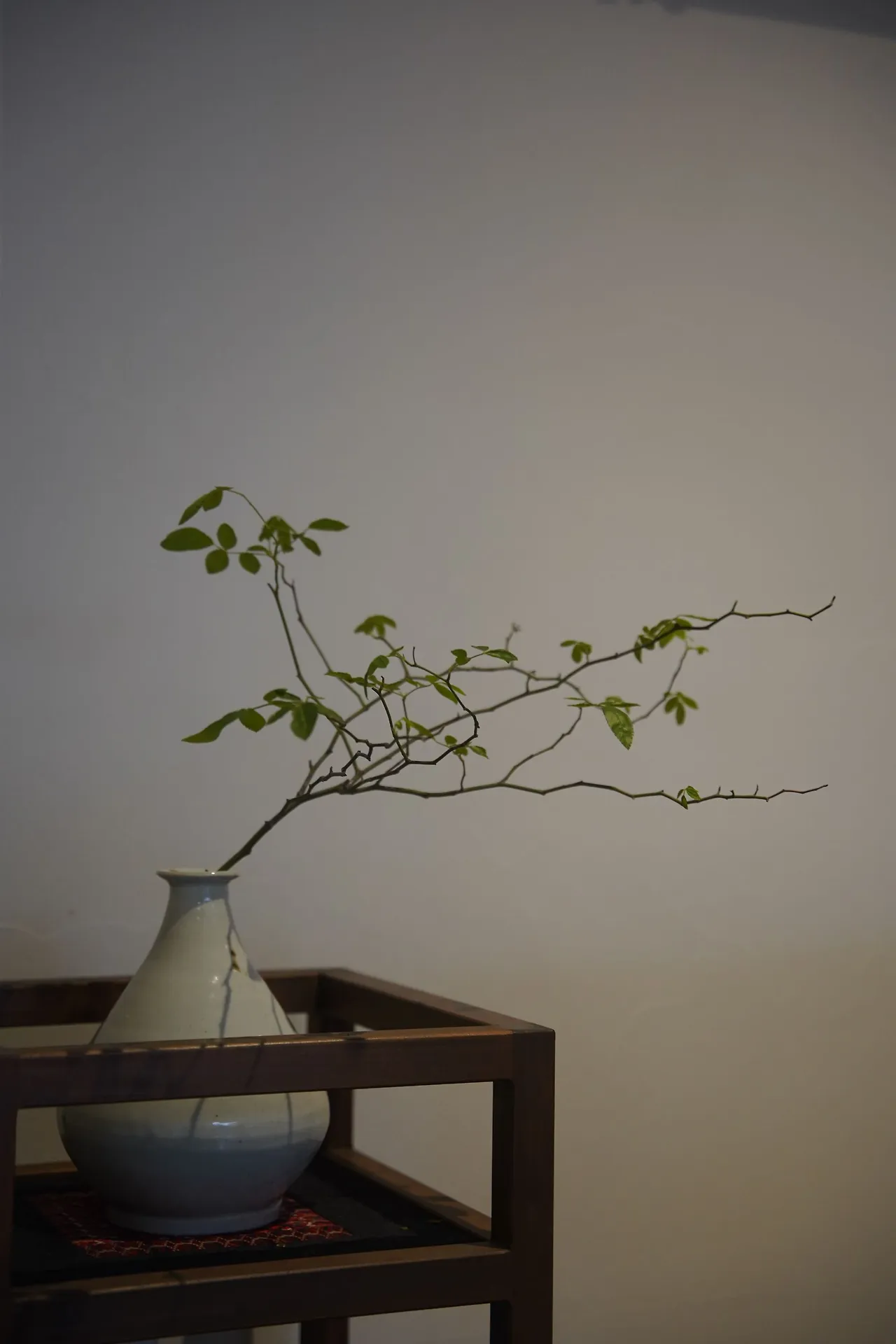 image?src=https%3A%2F%2Fprod-files-secure.s3.us-west-2.amazonaws.com%2Fd26f2fc6-f2b7-4615-b61a-e9deaacc99c3%2F88de21c9-58c2-407b-8695-fd143a81bde0%2FDSC06097.jpg&blockId=7d88fe83-e987-4c94-94c2-30901e7e705b