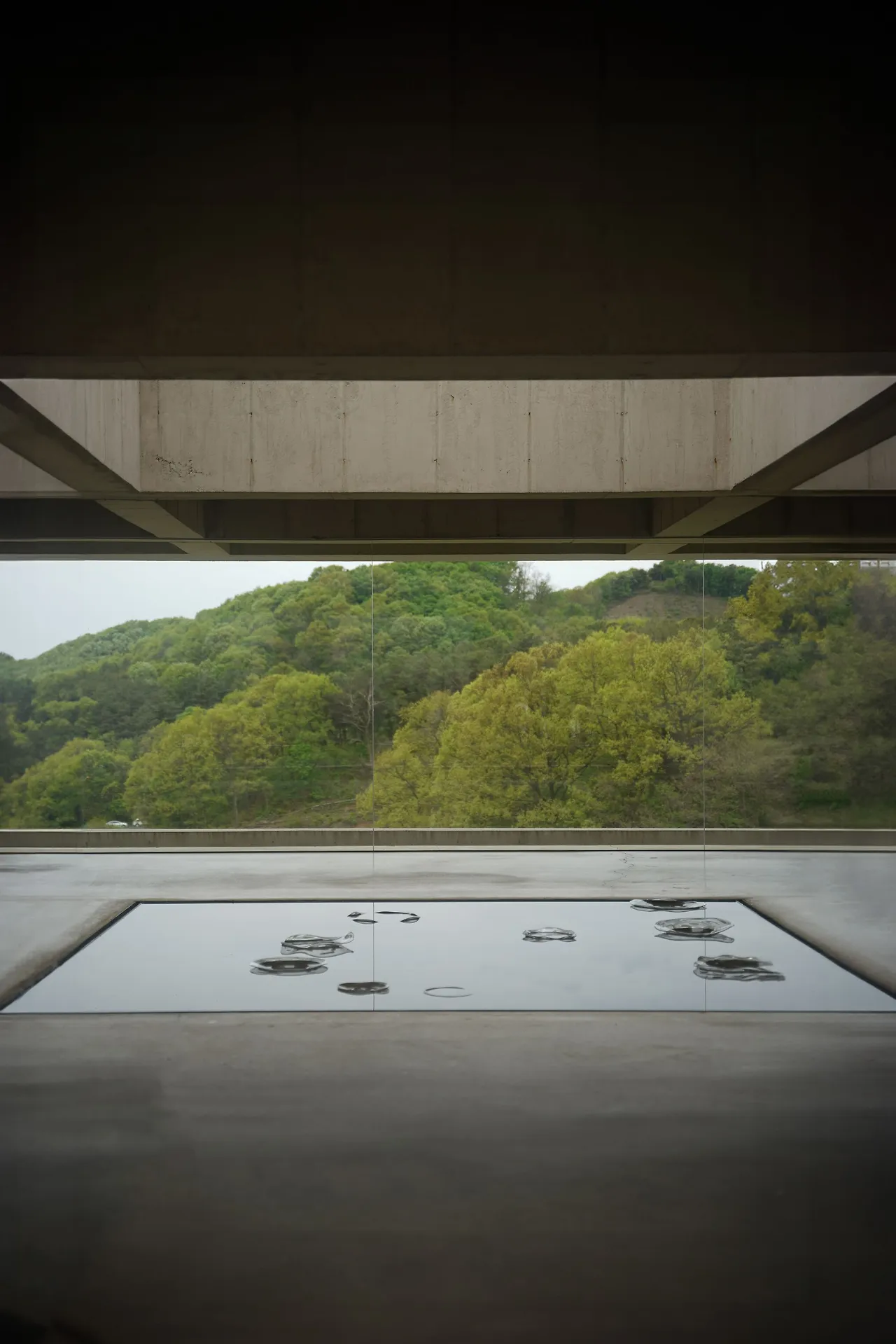 image?src=https%3A%2F%2Fprod-files-secure.s3.us-west-2.amazonaws.com%2Fd26f2fc6-f2b7-4615-b61a-e9deaacc99c3%2F4f7a6b74-0486-4600-80b5-a68430d5539c%2FDSC06454.jpg_%25E1%2584%2589%25E1%2585%25A2%25E1%2586%25BC%25E1%2584%2589%25E1%2585%25A5%25E1%2586%25BC%25E1%2584%2587%25E1%2585%25A9%25E1%2584%258C%25E1%2585%25A5%25E1%2586%25BC.jpg&blockId=a2134f59-6544-452a-beee-99e23554a8ff