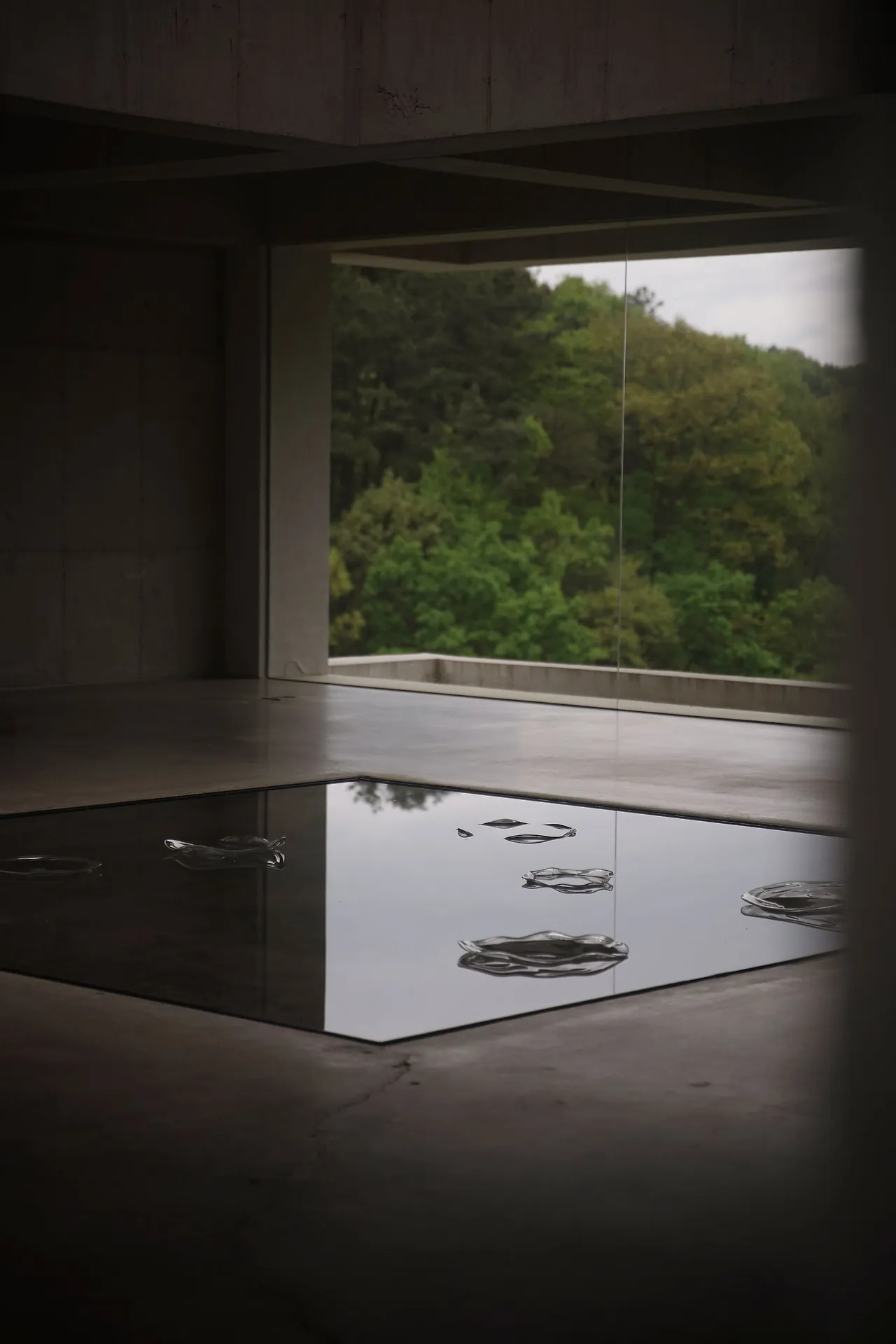 image?src=https%3A%2F%2Fprod-files-secure.s3.us-west-2.amazonaws.com%2Fd26f2fc6-f2b7-4615-b61a-e9deaacc99c3%2F29d7d662-4577-4104-9862-593cf7a0b865%2FDSC06118.%25E1%2584%258C%25E1%2585%25A2%25E1%2584%2587%25E1%2585%25A9%25E1%2584%258C%25E1%2585%25A5%25E1%2586%25BCjpg.jpg&blockId=49007fad-e811-4bf8-a40f-0986ebab55f7