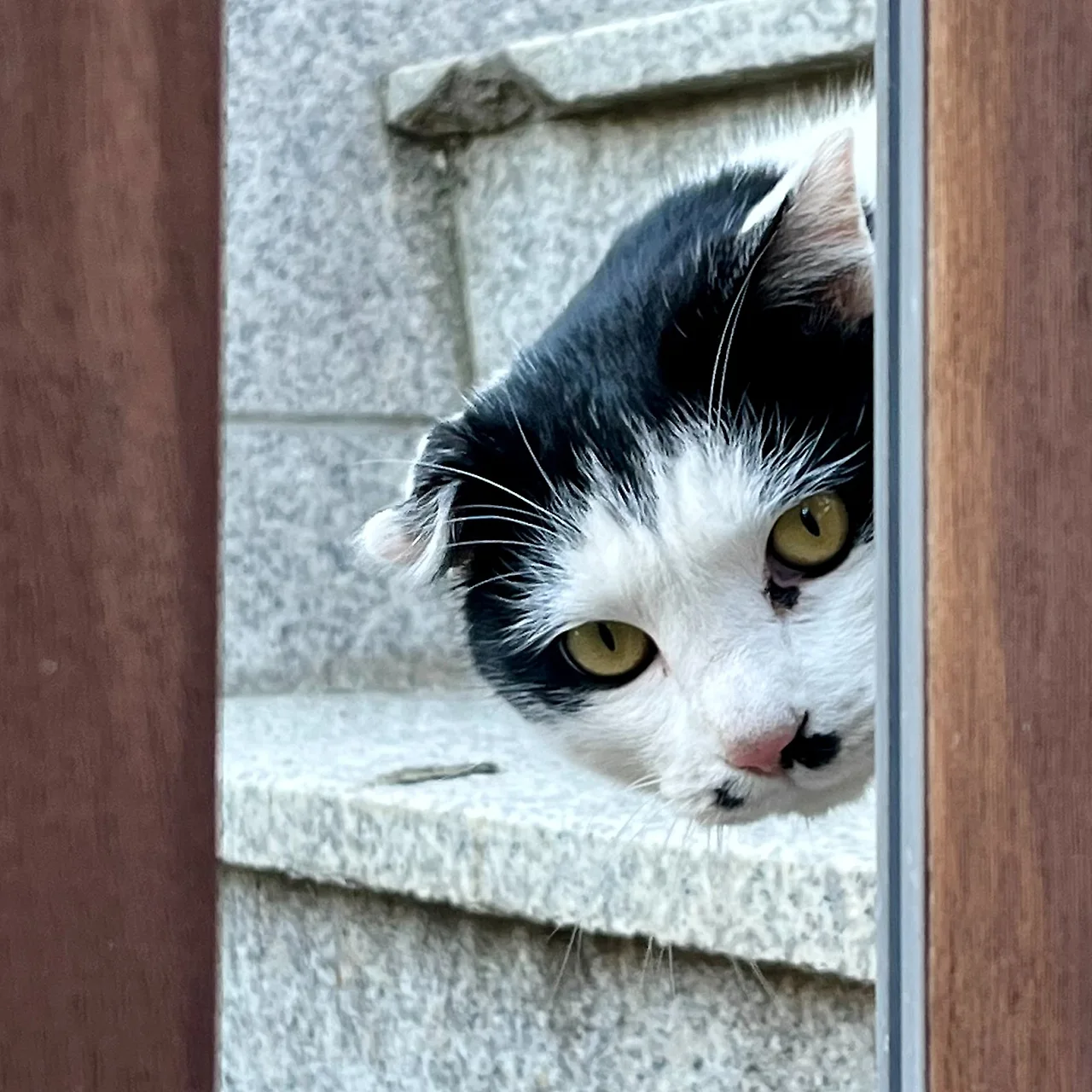 SE-06857B60-2EAA-47BF-B53B-35ABA91E0E15.jpg?type=w1600