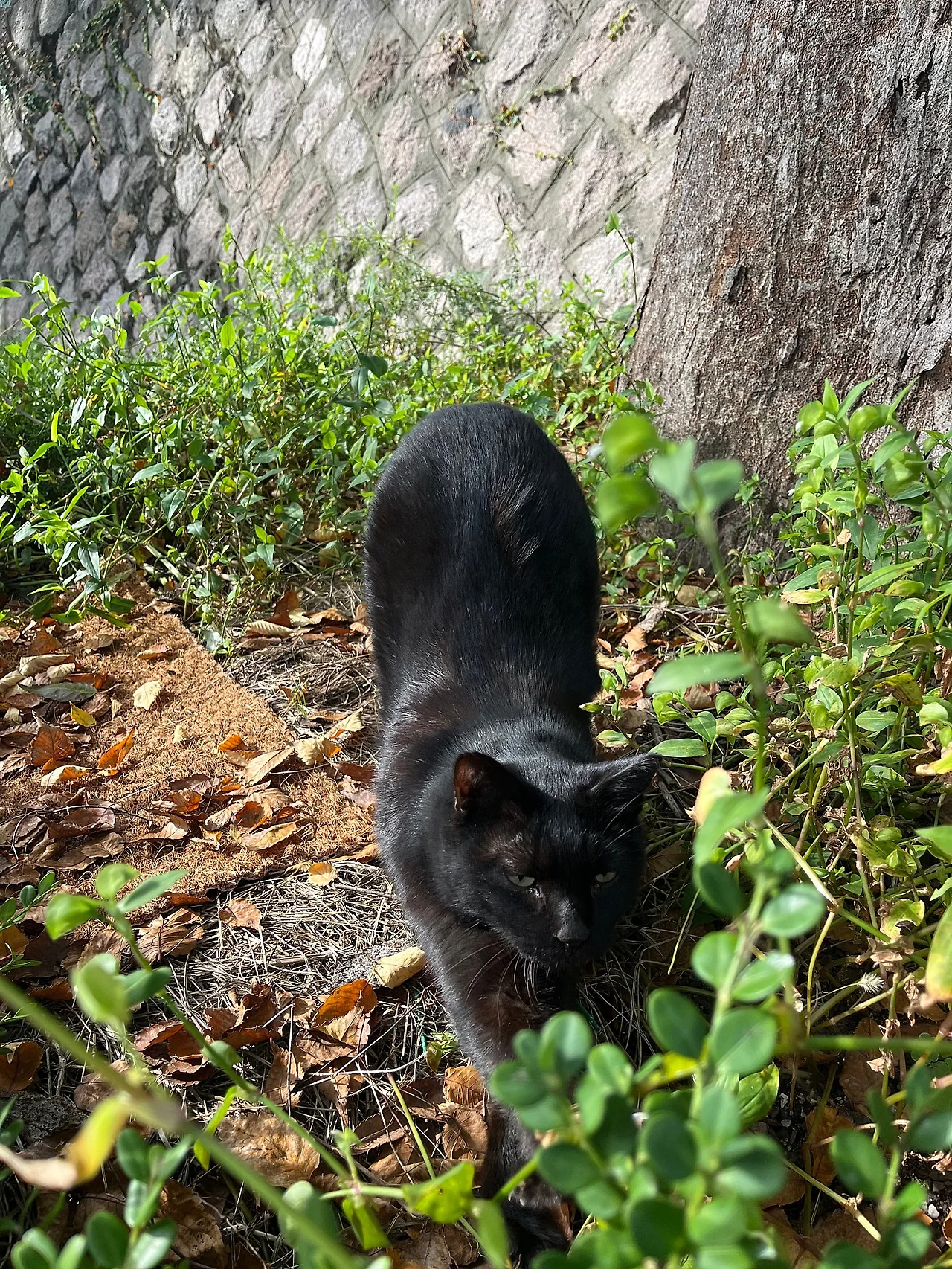 IMG%EF%BC%BF3578.jpg?type=w1600