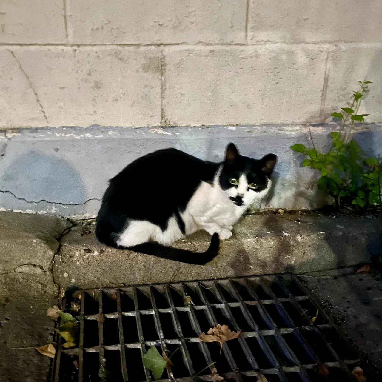 IMG%EF%BC%BF1742.jpg?type=w1600