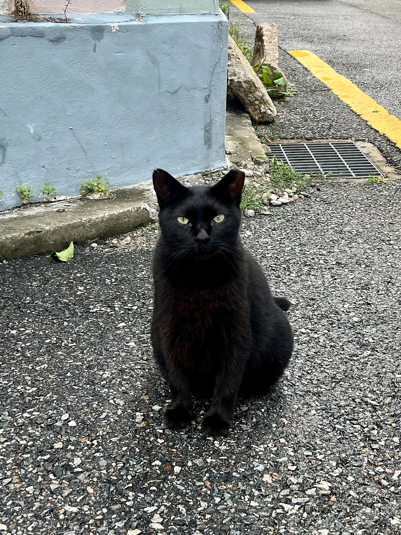 IMG%EF%BC%BF0777.jpg?type=w1600