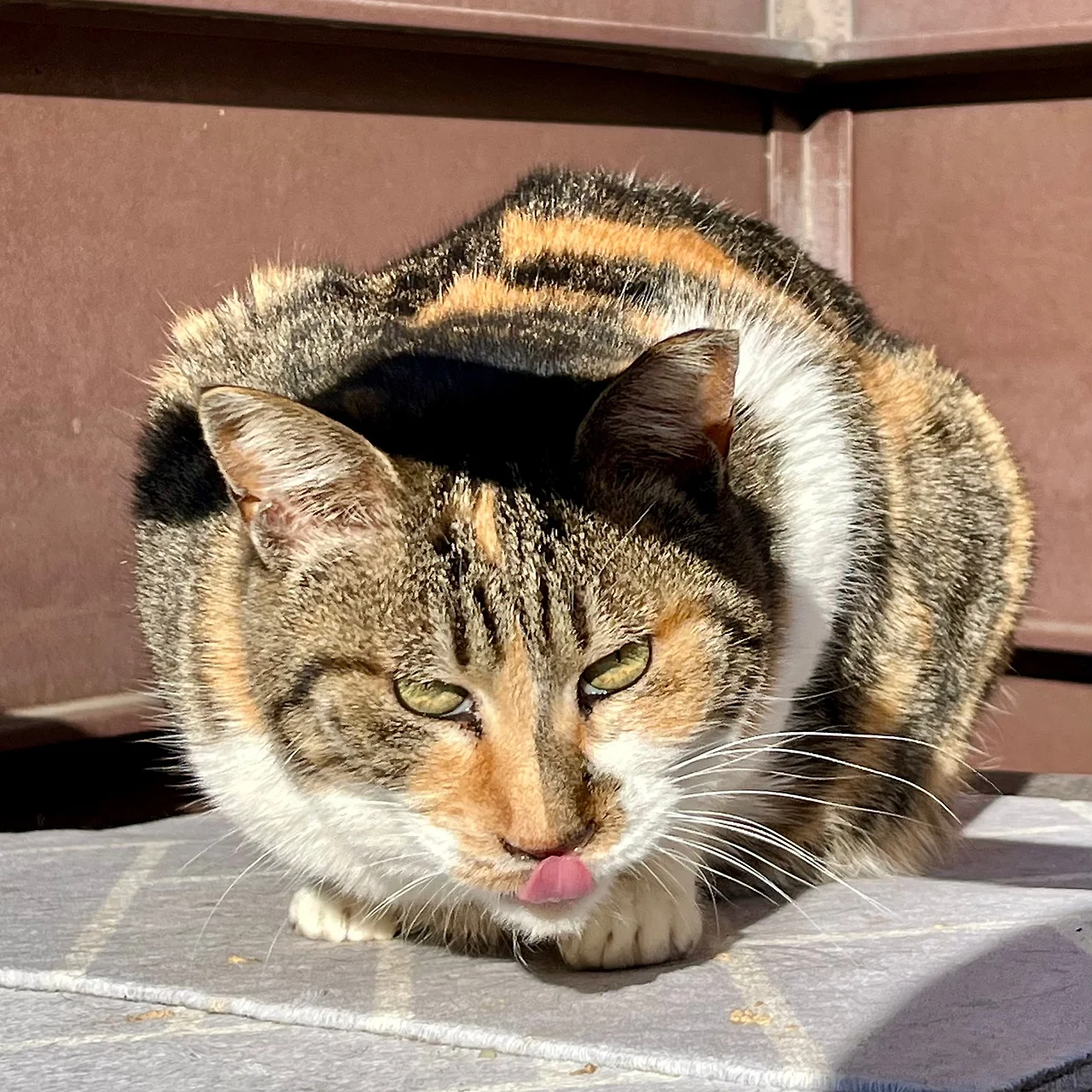 IMG%EF%BC%BF9994.jpg?type=w1600