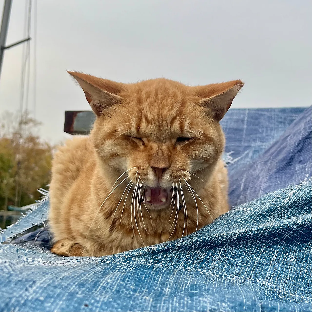 IMG%EF%BC%BF4820.jpg?type=w1600