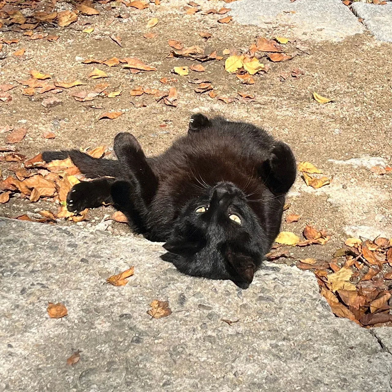 IMG%EF%BC%BF3269.jpg?type=w1600