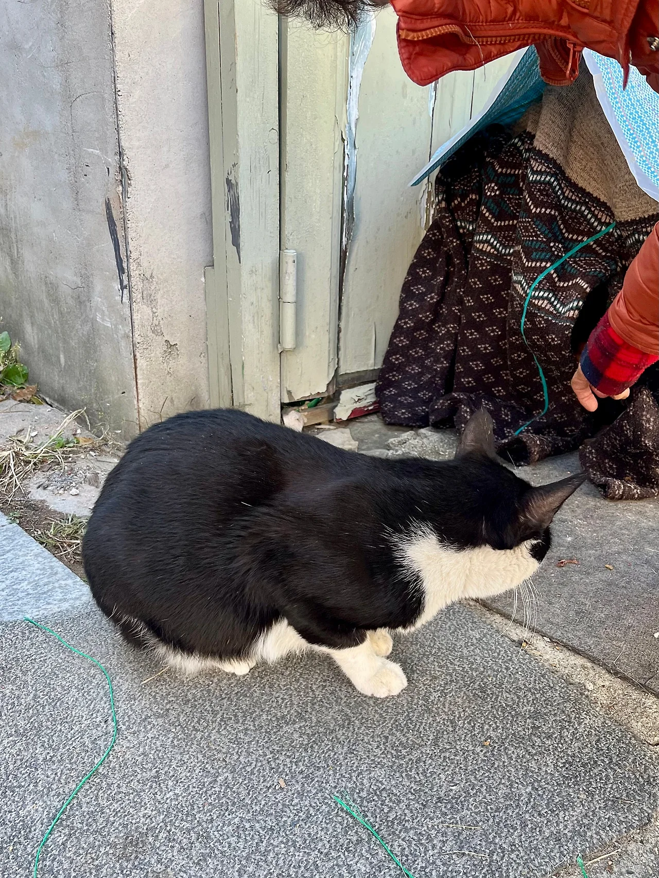 IMG%EF%BC%BF4476.jpg?type=w1600