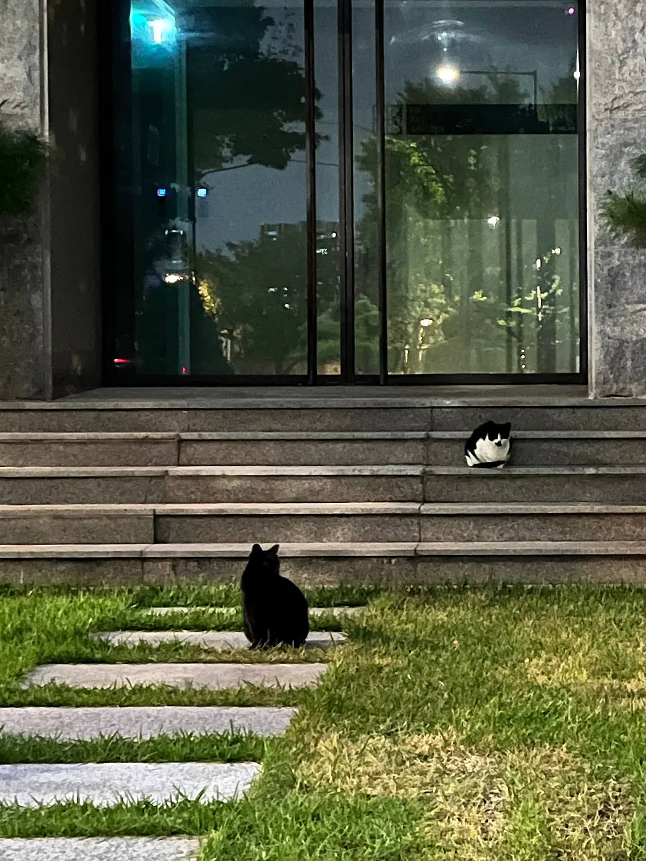 IMG%EF%BC%BF3184.jpg?type=w1600