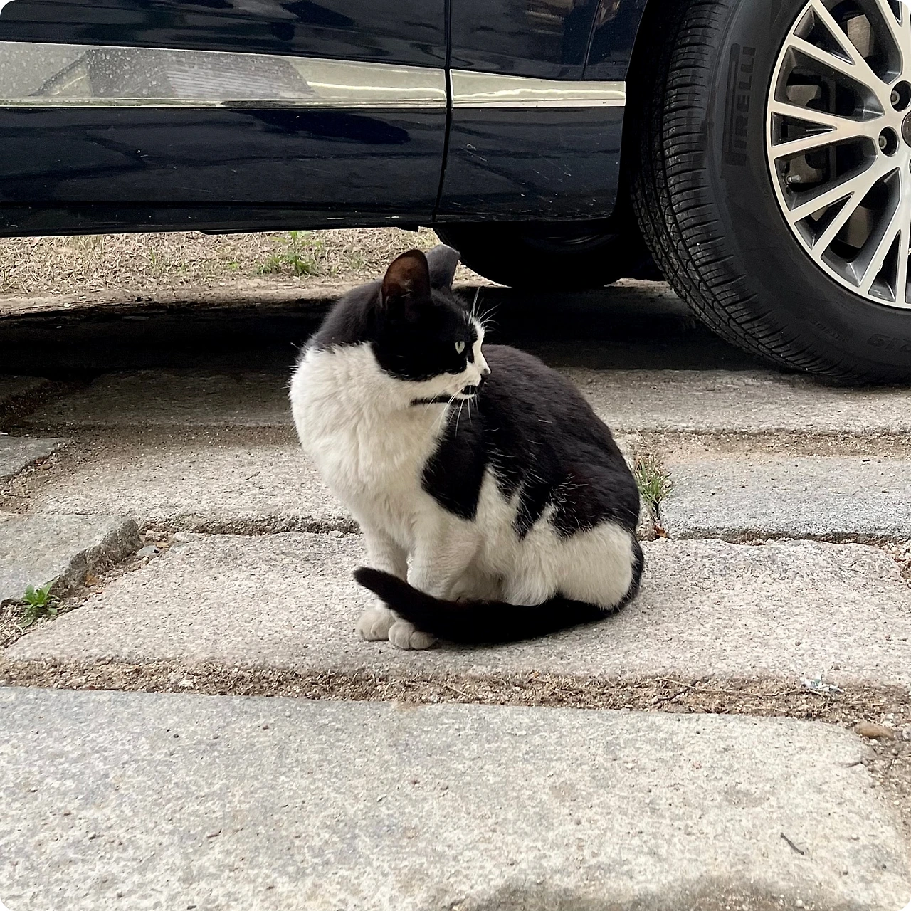 IMG_4651.jpg?type=w1600