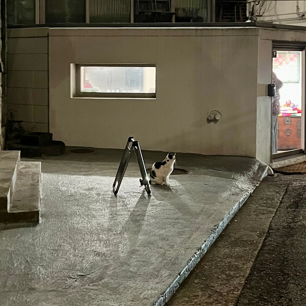 IMG%EF%BC%BF9247.jpg?type=w1600