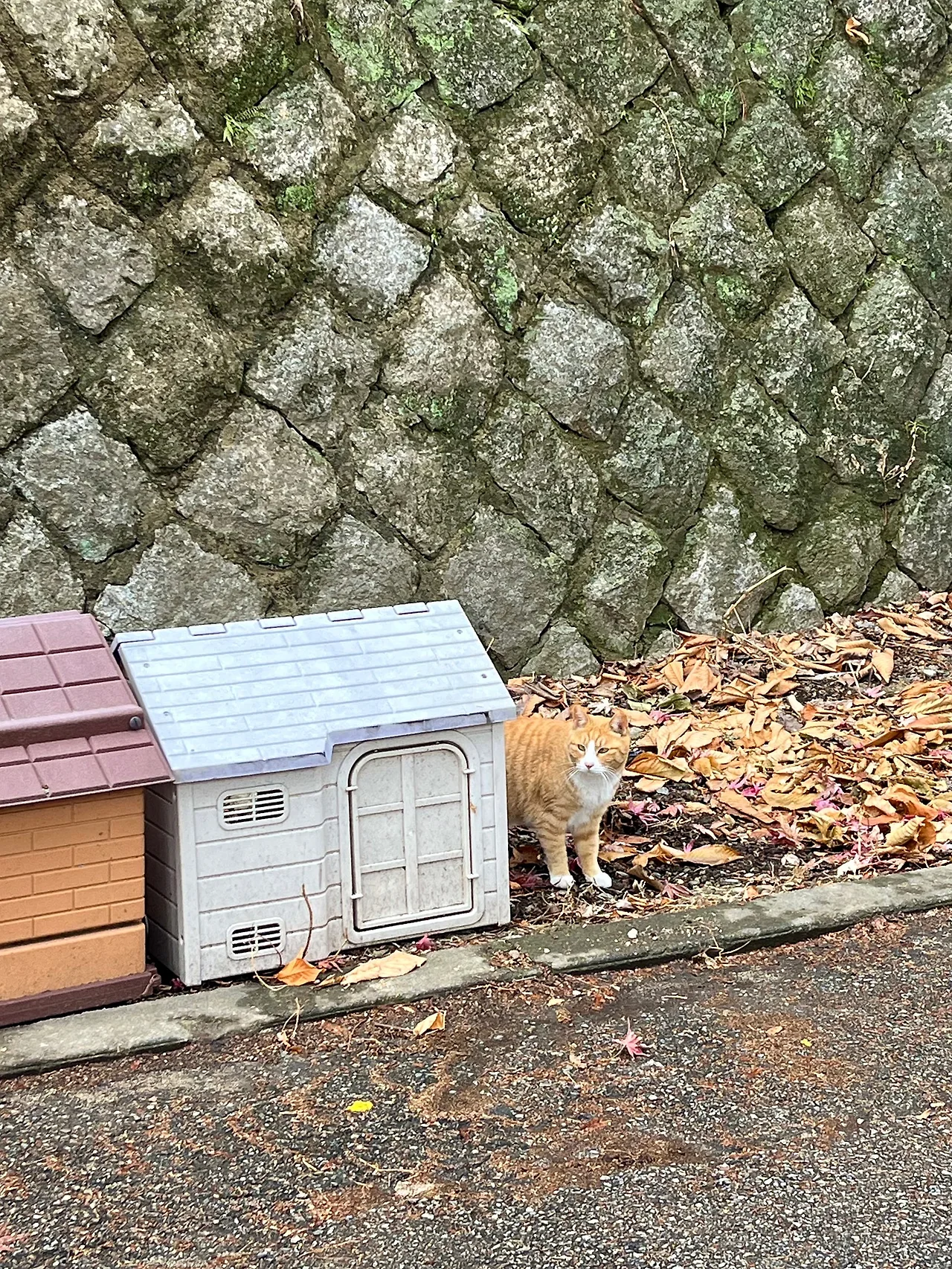 IMG%EF%BC%BF9903.jpg?type=w1600